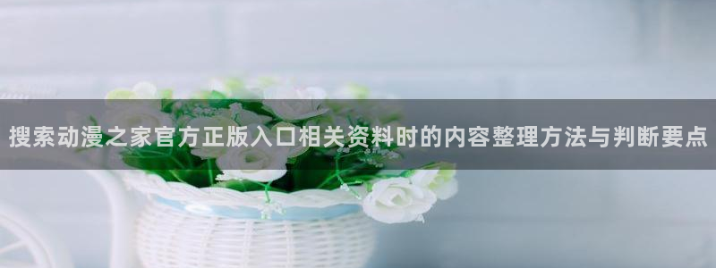 动画推荐