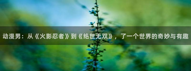 动漫网站推荐