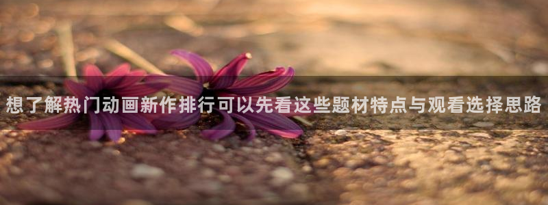 熊出没动画片全集免费观看完整版