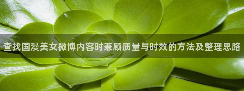 包子动漫