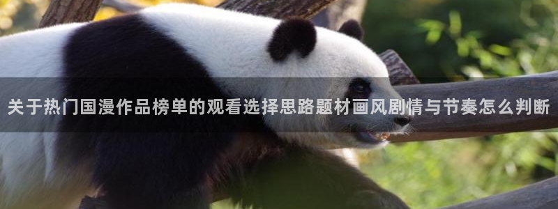 动漫之家其他动漫：关于热门国漫作品榜单的观看选择思路题材画风剧情与节奏怎么判断