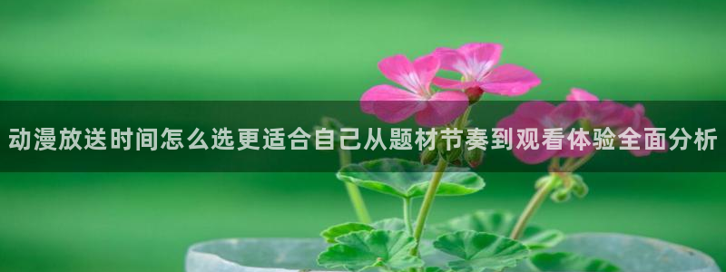 动漫岛：动漫放送时间怎么选更适合自己从题材节奏到观看体验全面分析