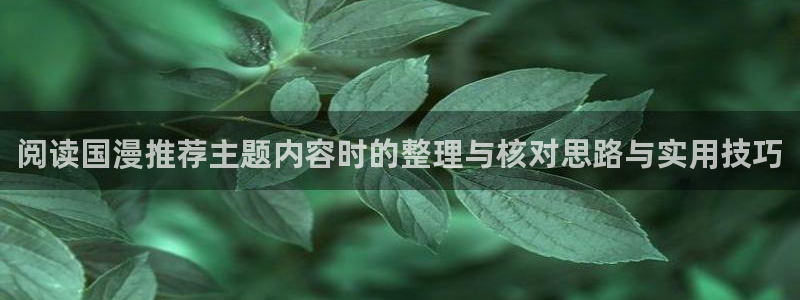 免费动漫网站：阅读国漫推荐主题内容时的整理与核对思路与实用技巧