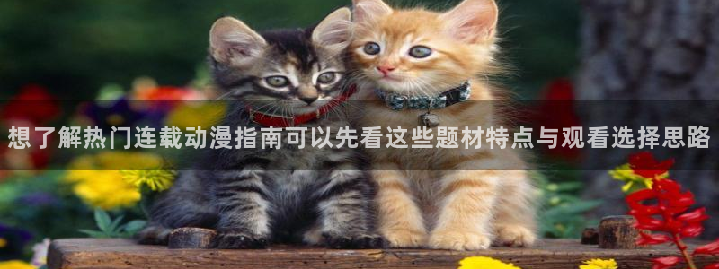 双男主动漫无删减:想了解热门连载动漫指南可以先看这些题材特点与观看选择思路