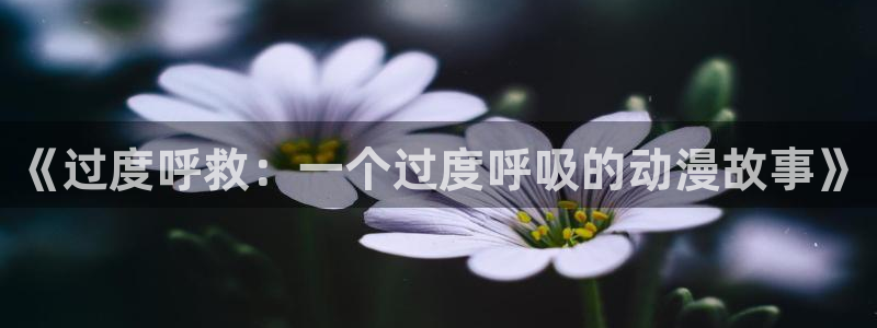 古风动漫涩涩无删减版：《过度呼救：一个过度呼吸的动漫故事》