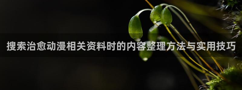 动漫之家下载