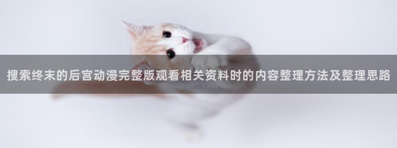 国产动漫推荐:搜索终末的后宫动漫完整版观看相关资料时的内容整理方法及整理思路